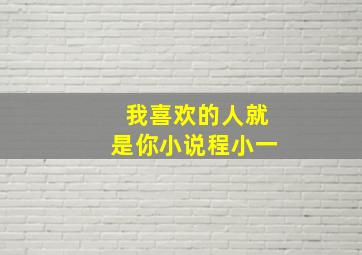 我喜欢的人就是你小说程小一