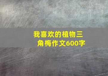 我喜欢的植物三角梅作文600字