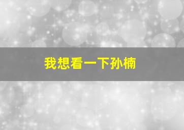 我想看一下孙楠