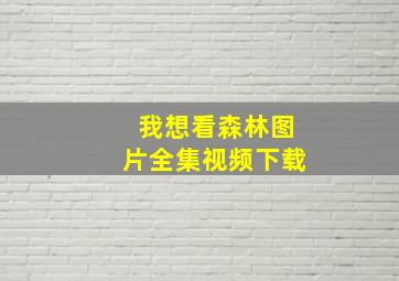 我想看森林图片全集视频下载