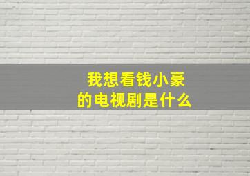 我想看钱小豪的电视剧是什么