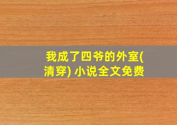 我成了四爷的外室(清穿) 小说全文免费