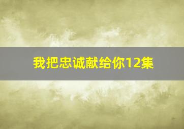 我把忠诚献给你12集