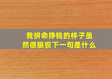 我拼命挣钱的样子虽然很狼狈下一句是什么