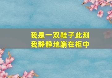 我是一双鞋子此刻我静静地躺在柜中