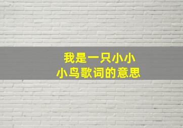 我是一只小小小鸟歌词的意思