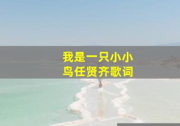 我是一只小小鸟任贤齐歌词