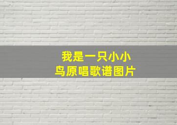 我是一只小小鸟原唱歌谱图片