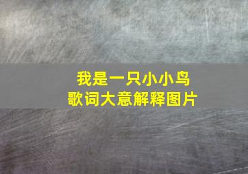 我是一只小小鸟歌词大意解释图片