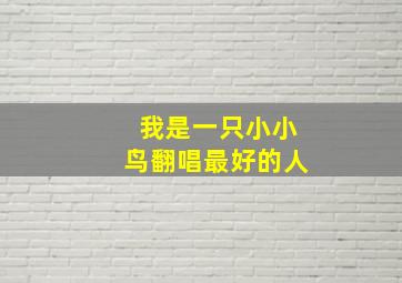 我是一只小小鸟翻唱最好的人