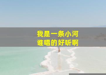 我是一条小河谁唱的好听啊