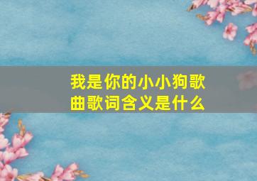 我是你的小小狗歌曲歌词含义是什么