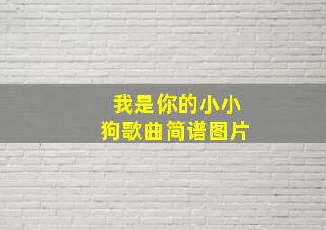 我是你的小小狗歌曲简谱图片