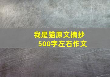 我是猫原文摘抄500字左右作文