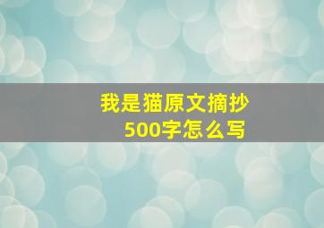 我是猫原文摘抄500字怎么写