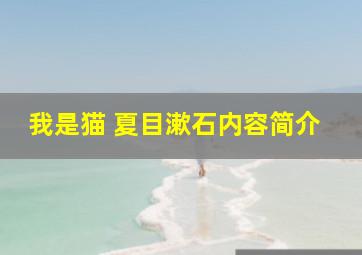 我是猫 夏目漱石内容简介