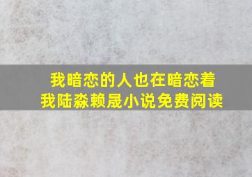 我暗恋的人也在暗恋着我陆淼赖晟小说免费阅读