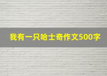 我有一只哈士奇作文500字