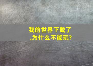 我的世界下载了,为什么不能玩?