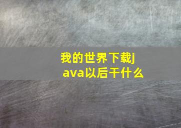 我的世界下载java以后干什么