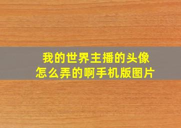 我的世界主播的头像怎么弄的啊手机版图片