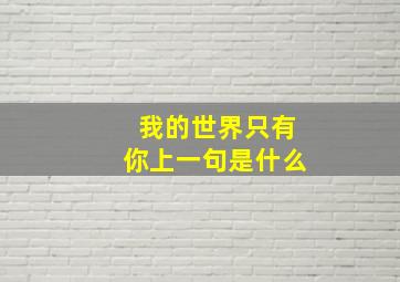 我的世界只有你上一句是什么