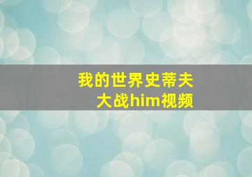 我的世界史蒂夫大战him视频