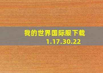 我的世界国际服下载1.17.30.22