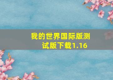 我的世界国际版测试版下载1.16