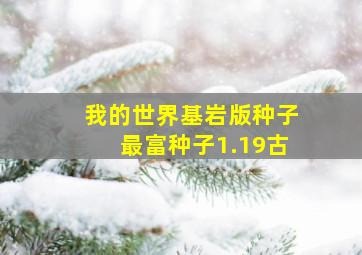 我的世界基岩版种子最富种子1.19古