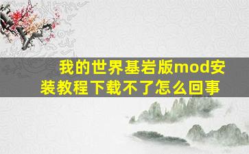 我的世界基岩版mod安装教程下载不了怎么回事