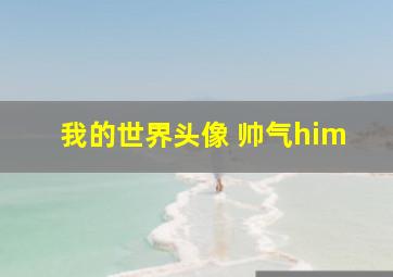 我的世界头像 帅气him