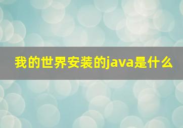 我的世界安装的java是什么