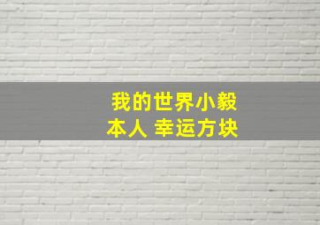 我的世界小毅本人 幸运方块