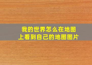 我的世界怎么在地图上看到自己的地图图片