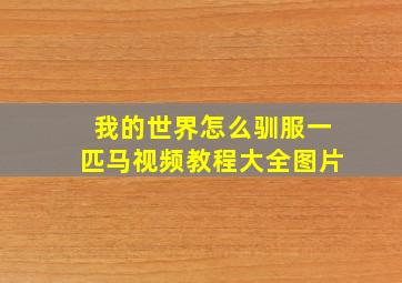 我的世界怎么驯服一匹马视频教程大全图片