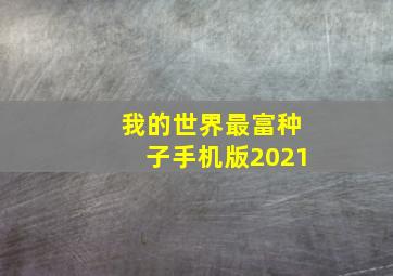 我的世界最富种子手机版2021