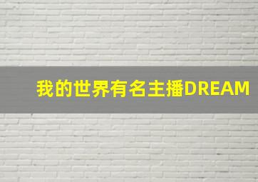 我的世界有名主播DREAM