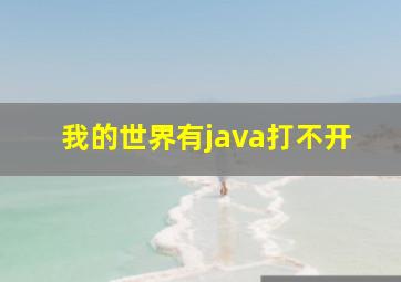 我的世界有java打不开