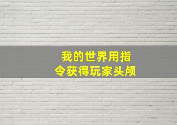 我的世界用指令获得玩家头颅