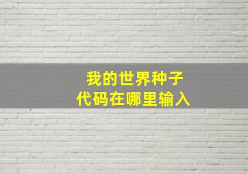 我的世界种子代码在哪里输入