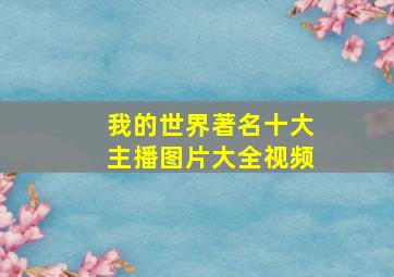 我的世界著名十大主播图片大全视频