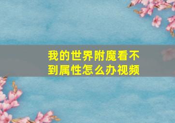 我的世界附魔看不到属性怎么办视频