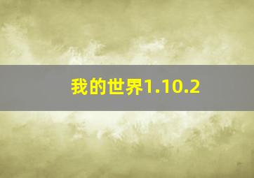 我的世界1.10.2