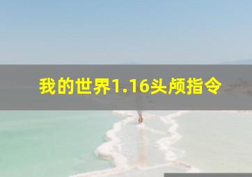 我的世界1.16头颅指令