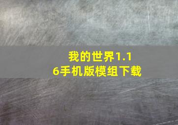 我的世界1.16手机版模组下载