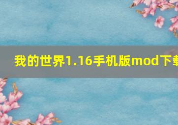 我的世界1.16手机版mod下载