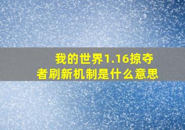 我的世界1.16掠夺者刷新机制是什么意思