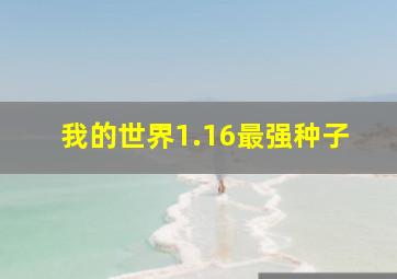 我的世界1.16最强种子