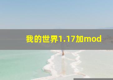 我的世界1.17加mod